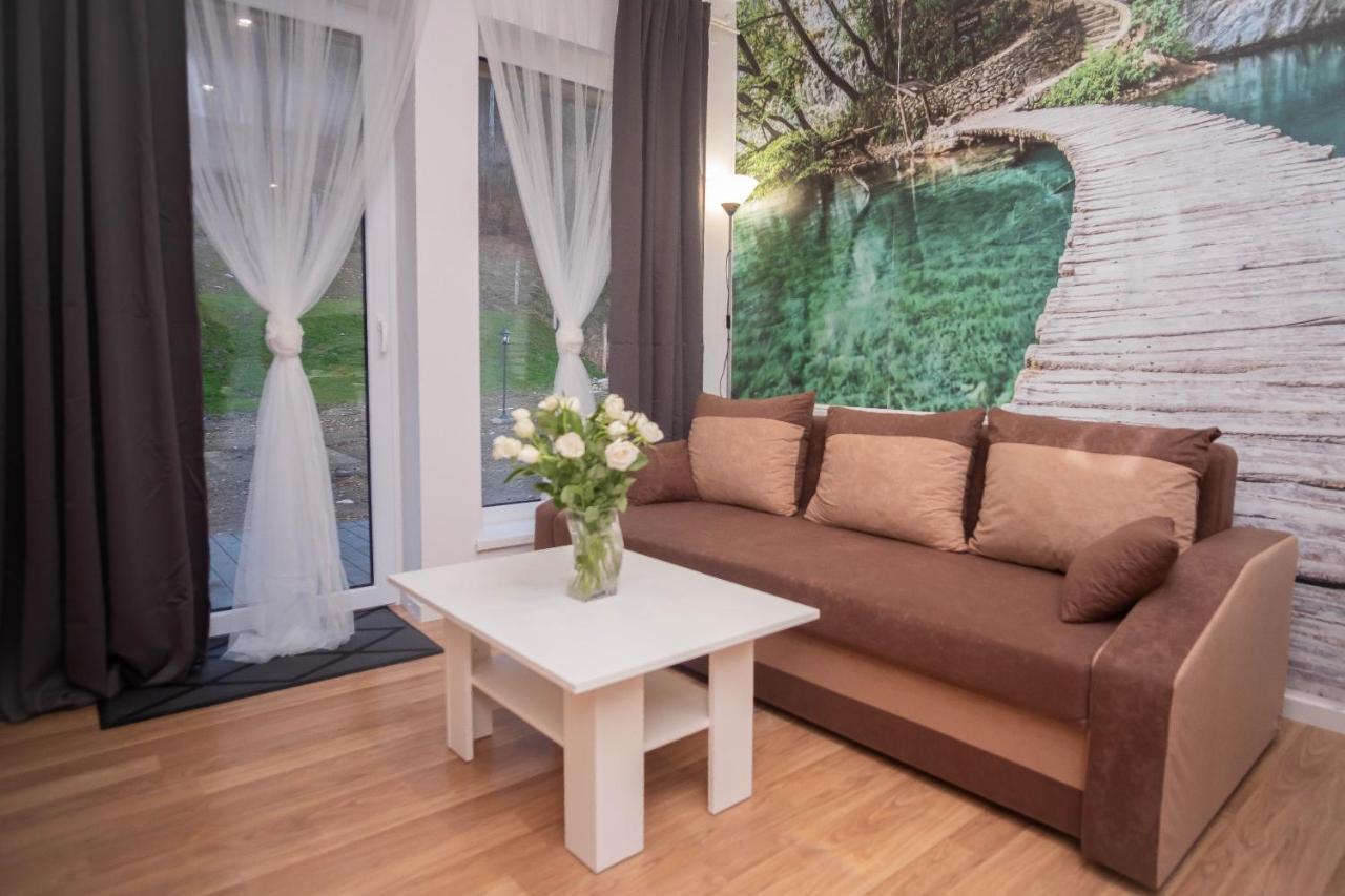 Apartamenty Goszowita Stronie Śląskie エクステリア 写真