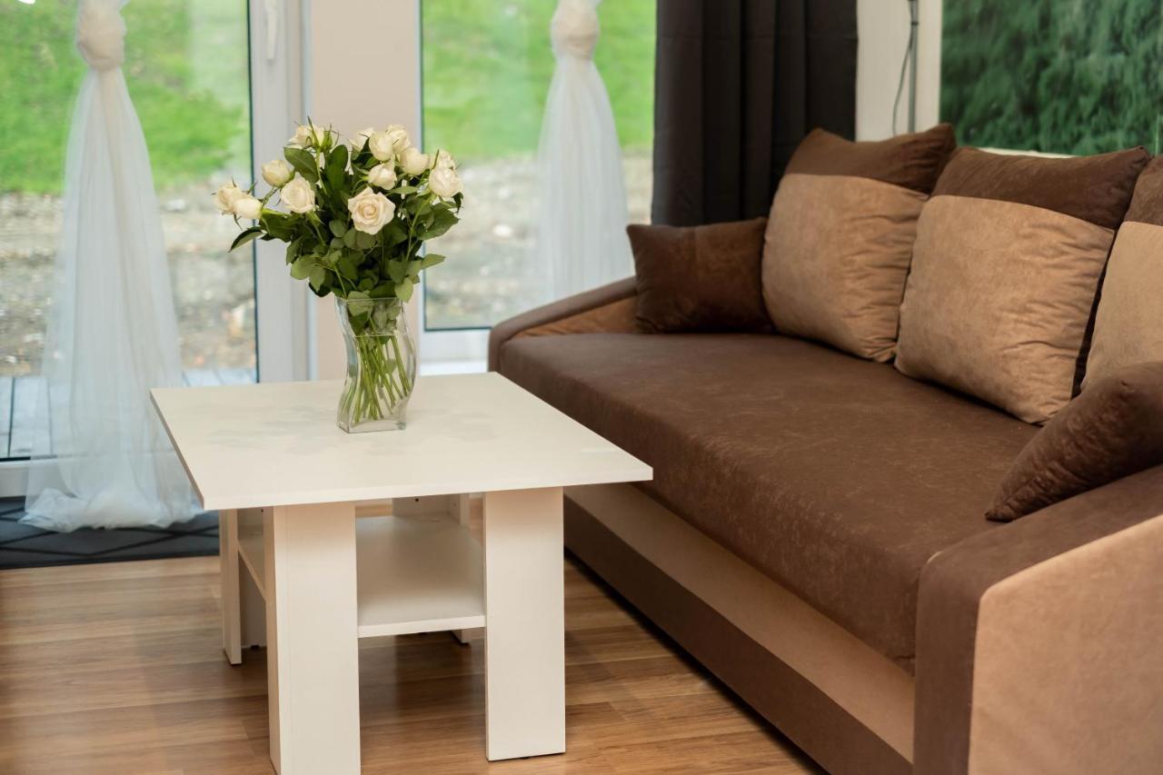 Apartamenty Goszowita Stronie Śląskie エクステリア 写真
