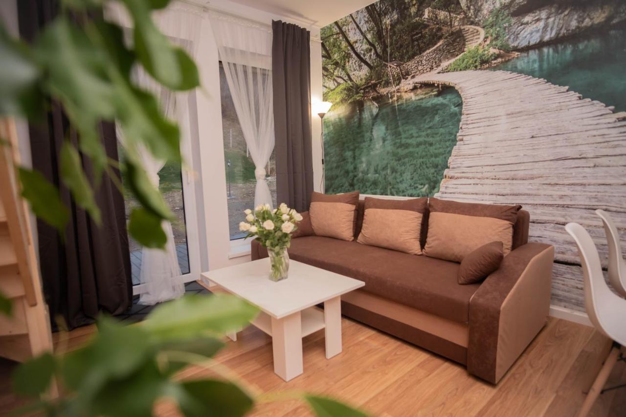 Apartamenty Goszowita Stronie Śląskie エクステリア 写真